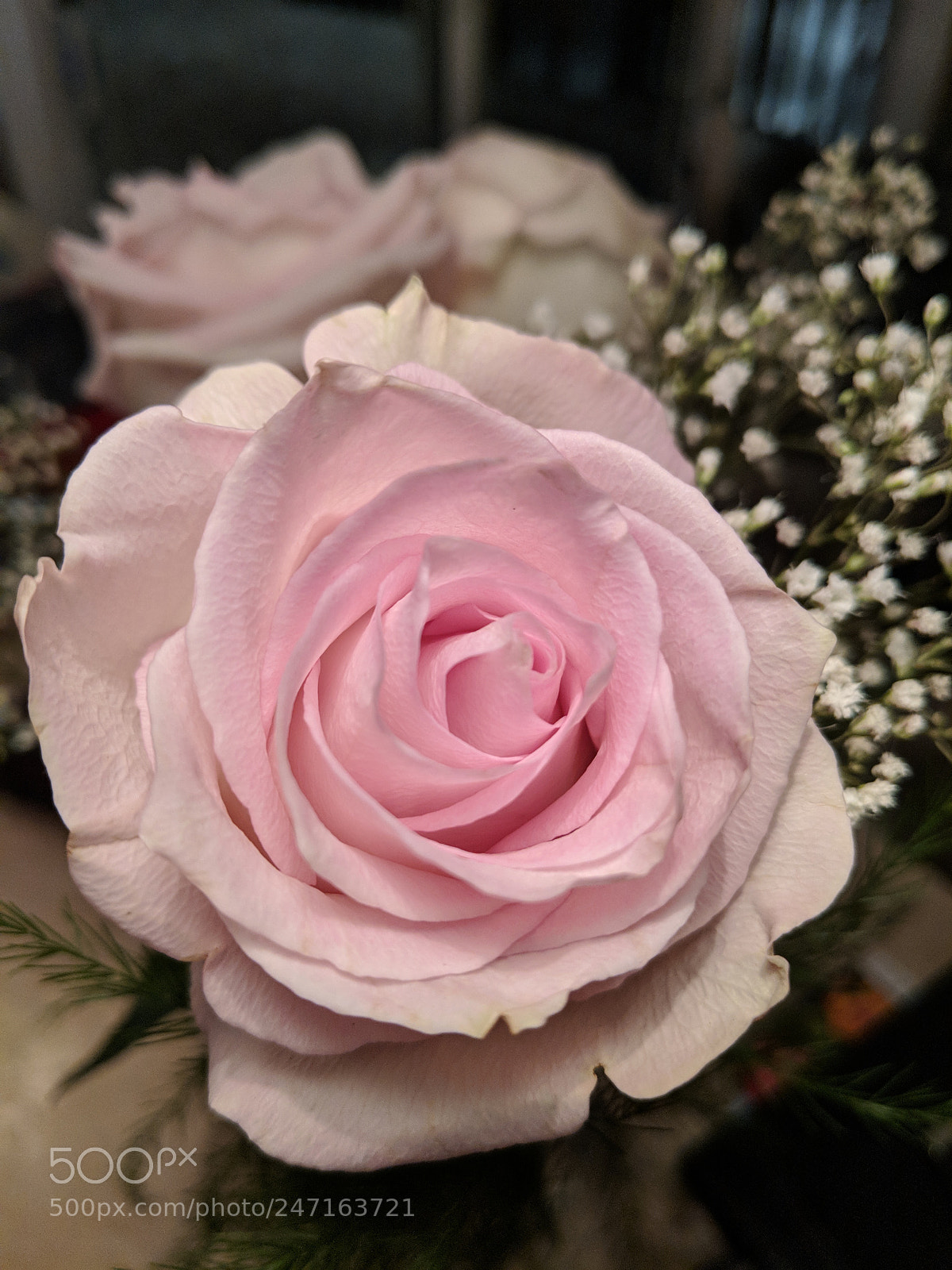 Google Pixel 2 sample photo. Restant de saint-valentin photography