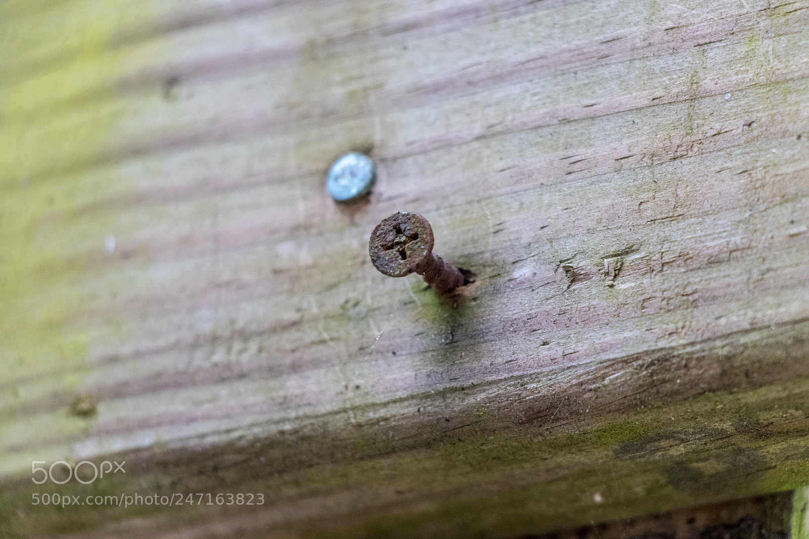 Canon EOS 80D sample photo. Old rusty screw photography