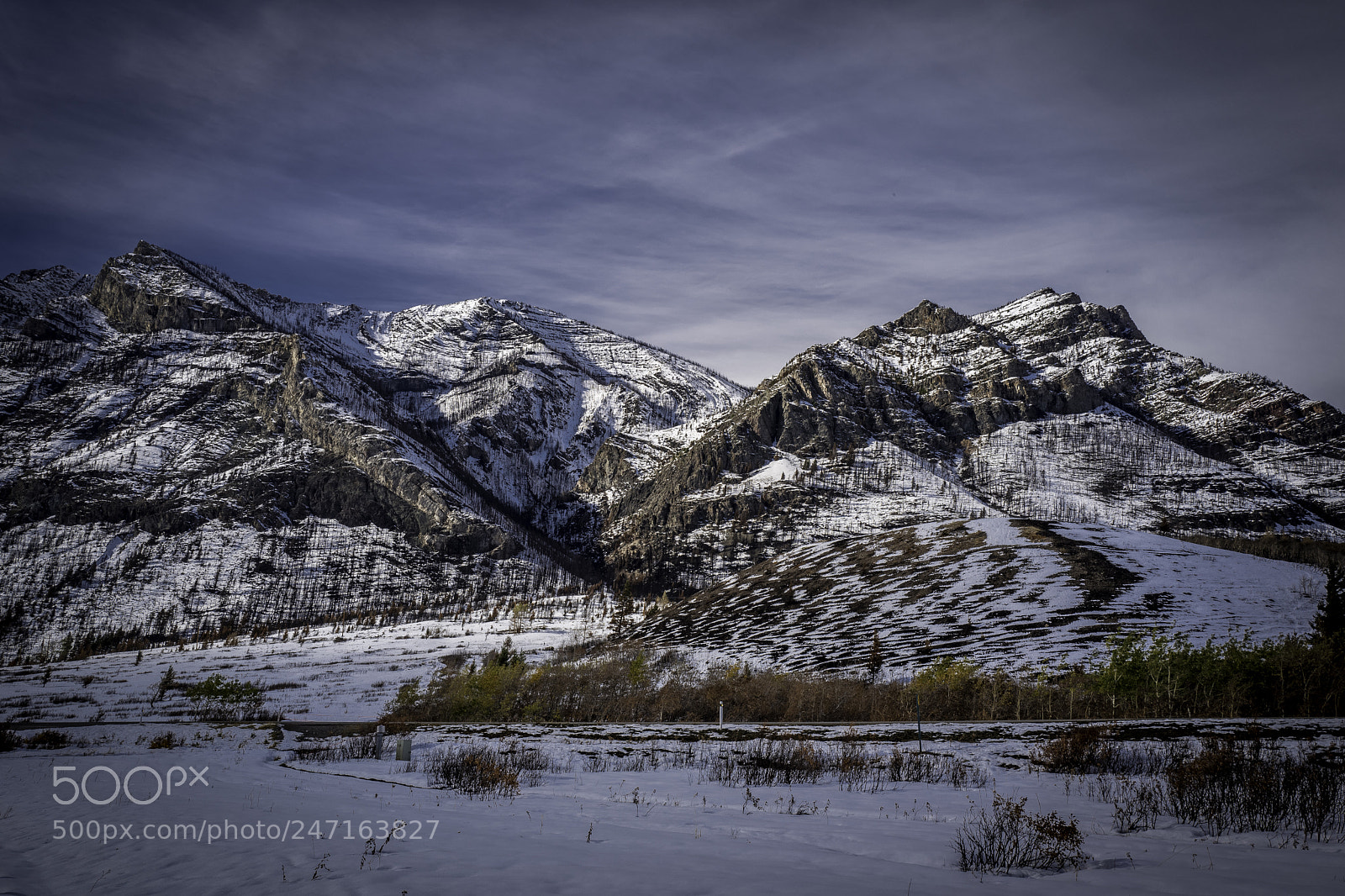 Leica Q (Typ 116) sample photo. Alberta canada photography