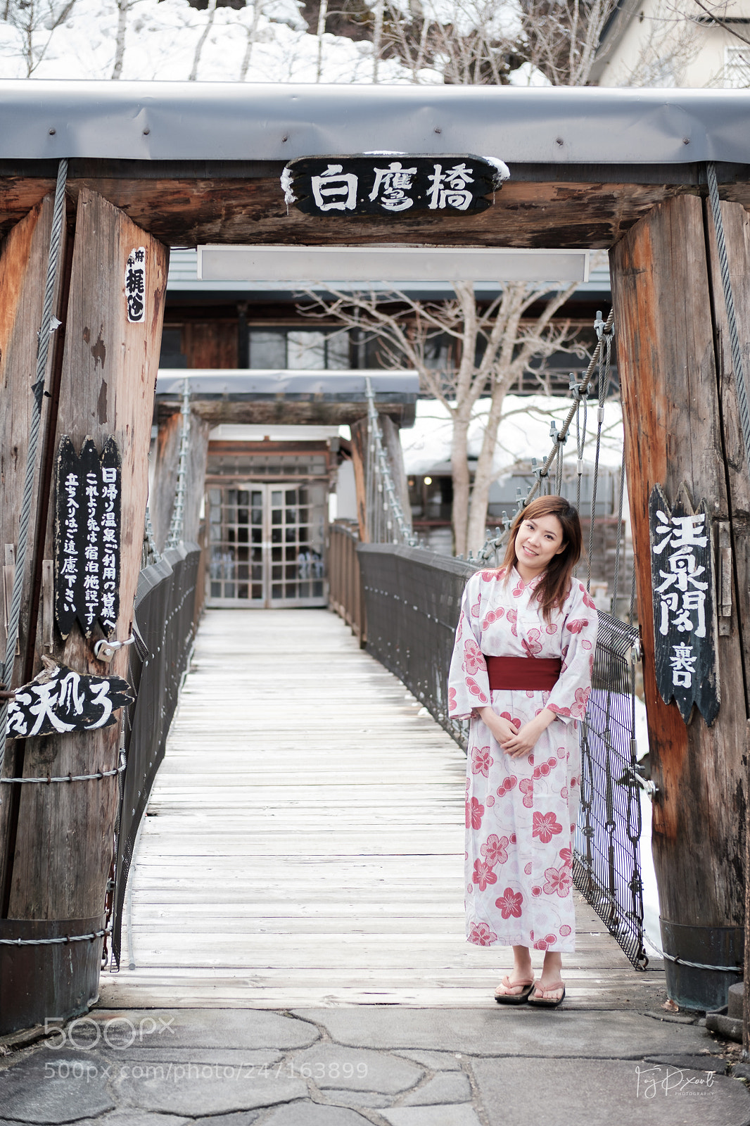 Fujifilm X-T20 sample photo. Bee at takaragawa onsen photography