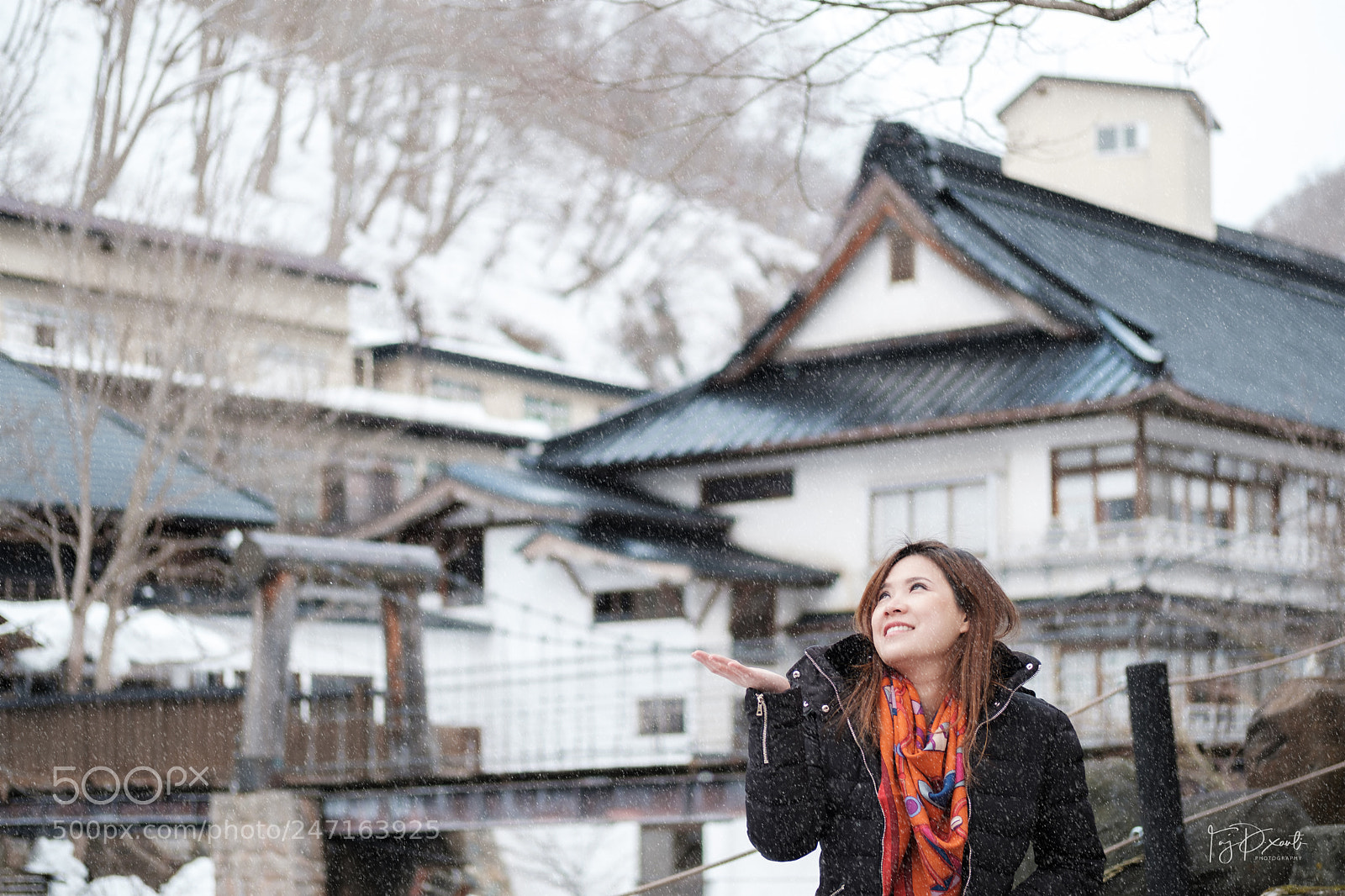 Fujifilm X-T20 sample photo. Bee at takaragawa onsen photography