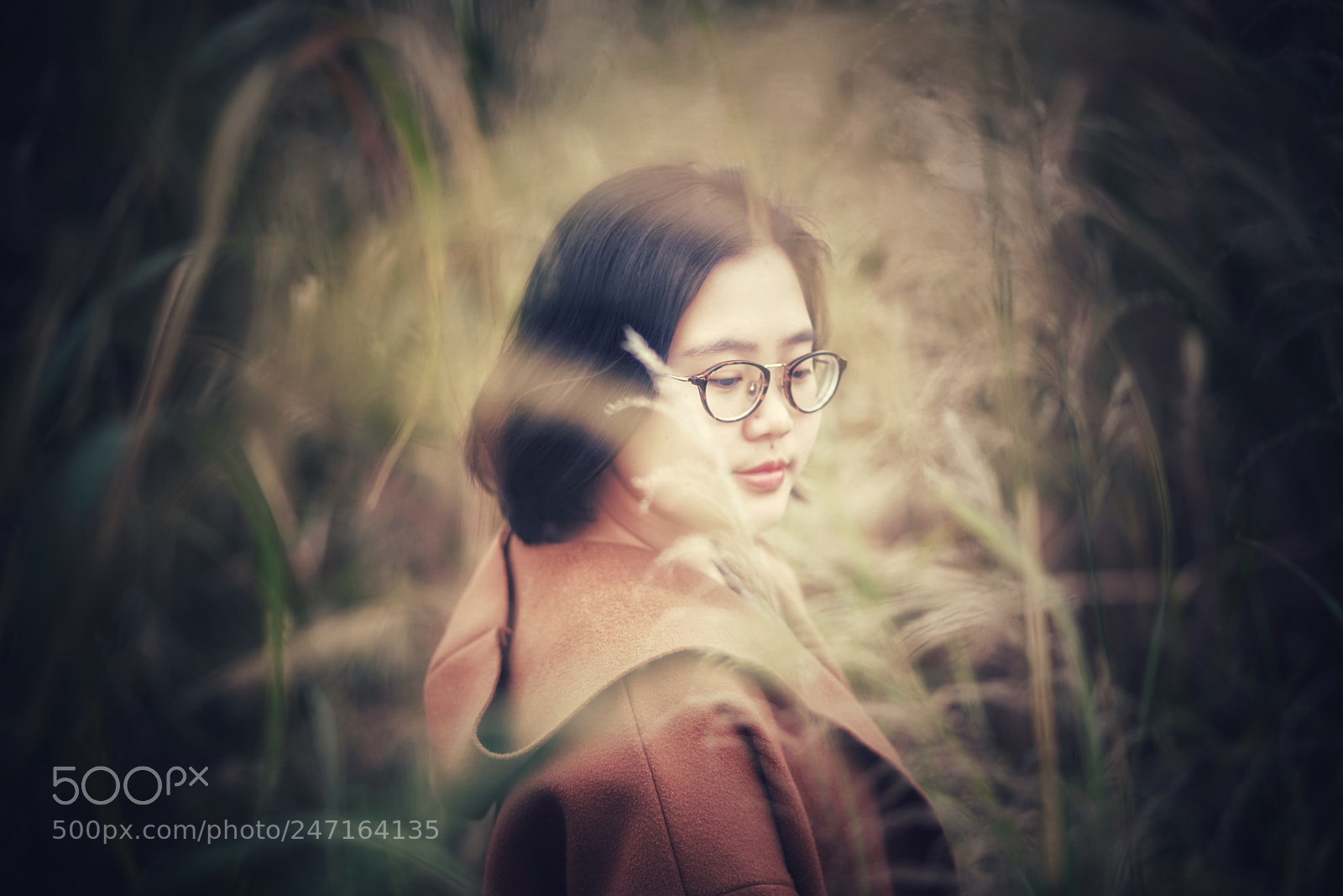 Sony a7R II sample photo. 闲来无事河边走走 photography