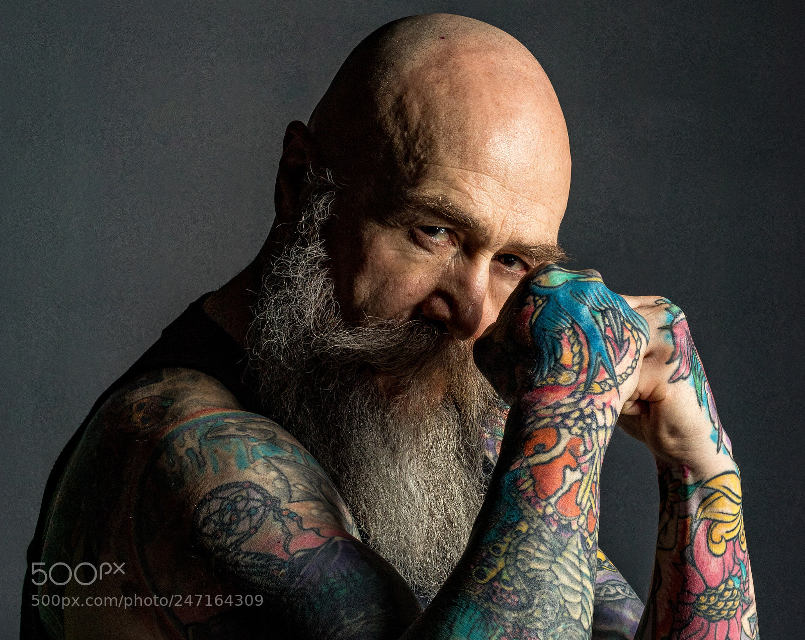 Canon EOS 80D sample photo. Boxing atkins photography