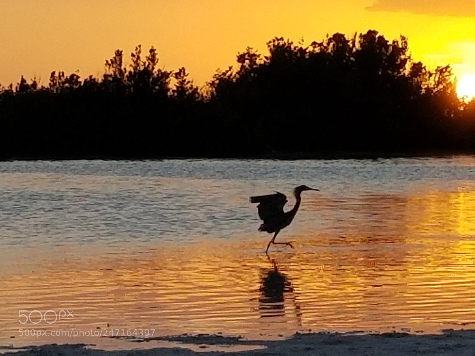Samsung Galaxy S8+ sample photo. Untitled photography