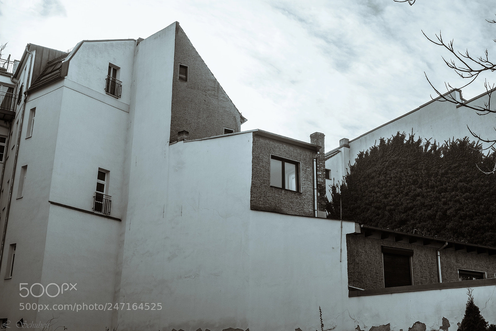 Fujifilm X-T1 sample photo. Stairway to heaven photography