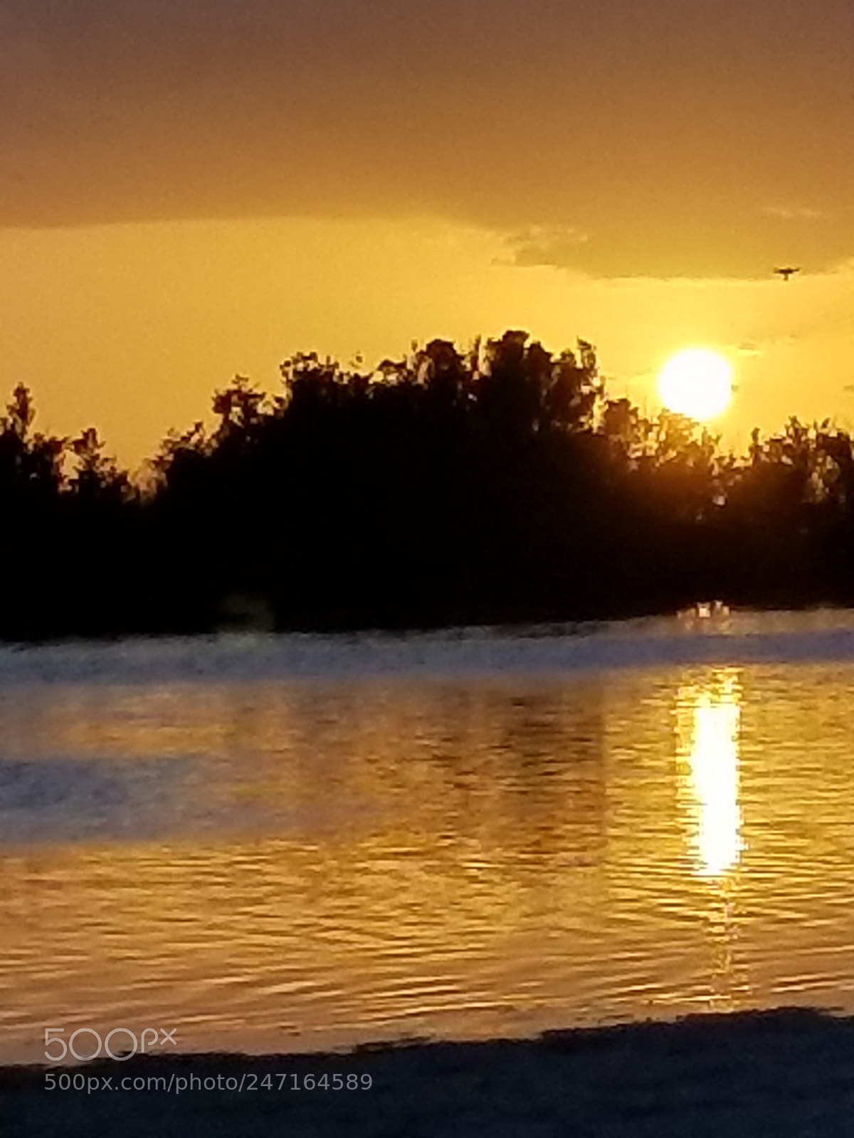 Samsung Galaxy S8+ sample photo. Untitled photography
