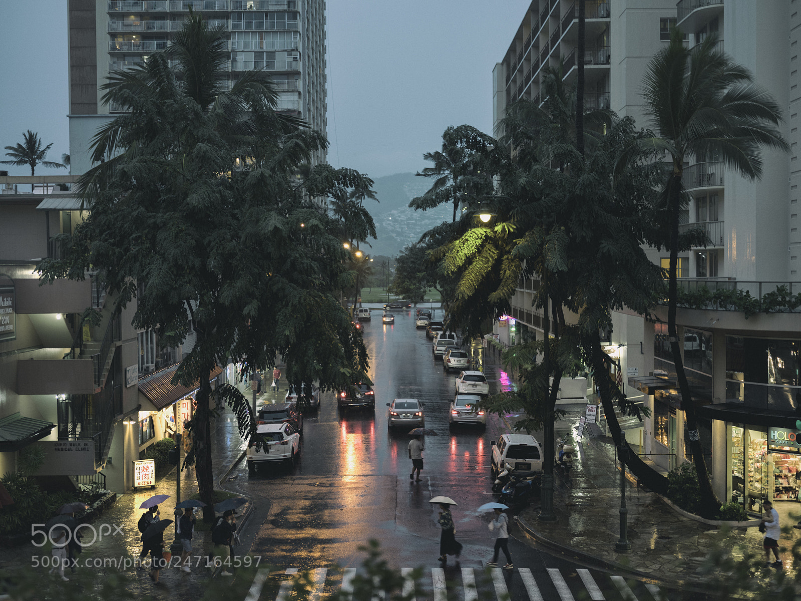 Fujifilm GFX 50S sample photo. Untitled photography