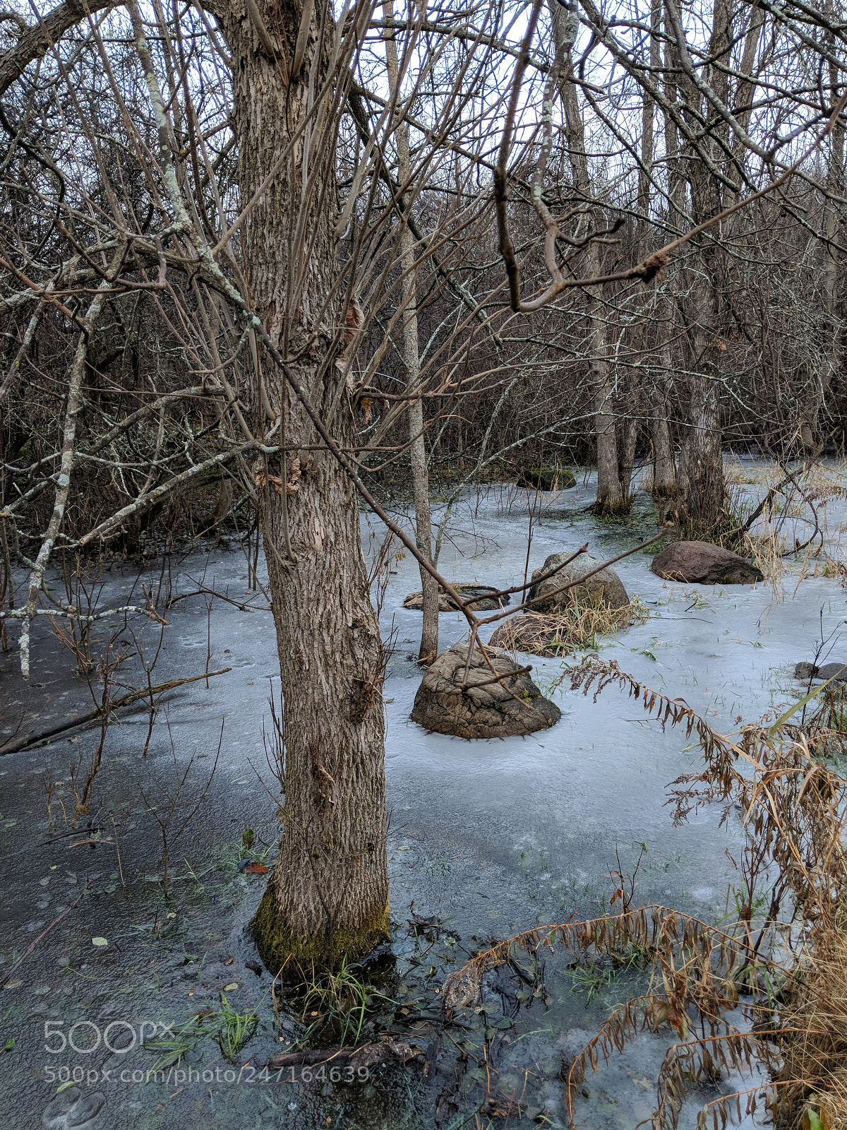 Google Pixel 2 sample photo. Untitled photography