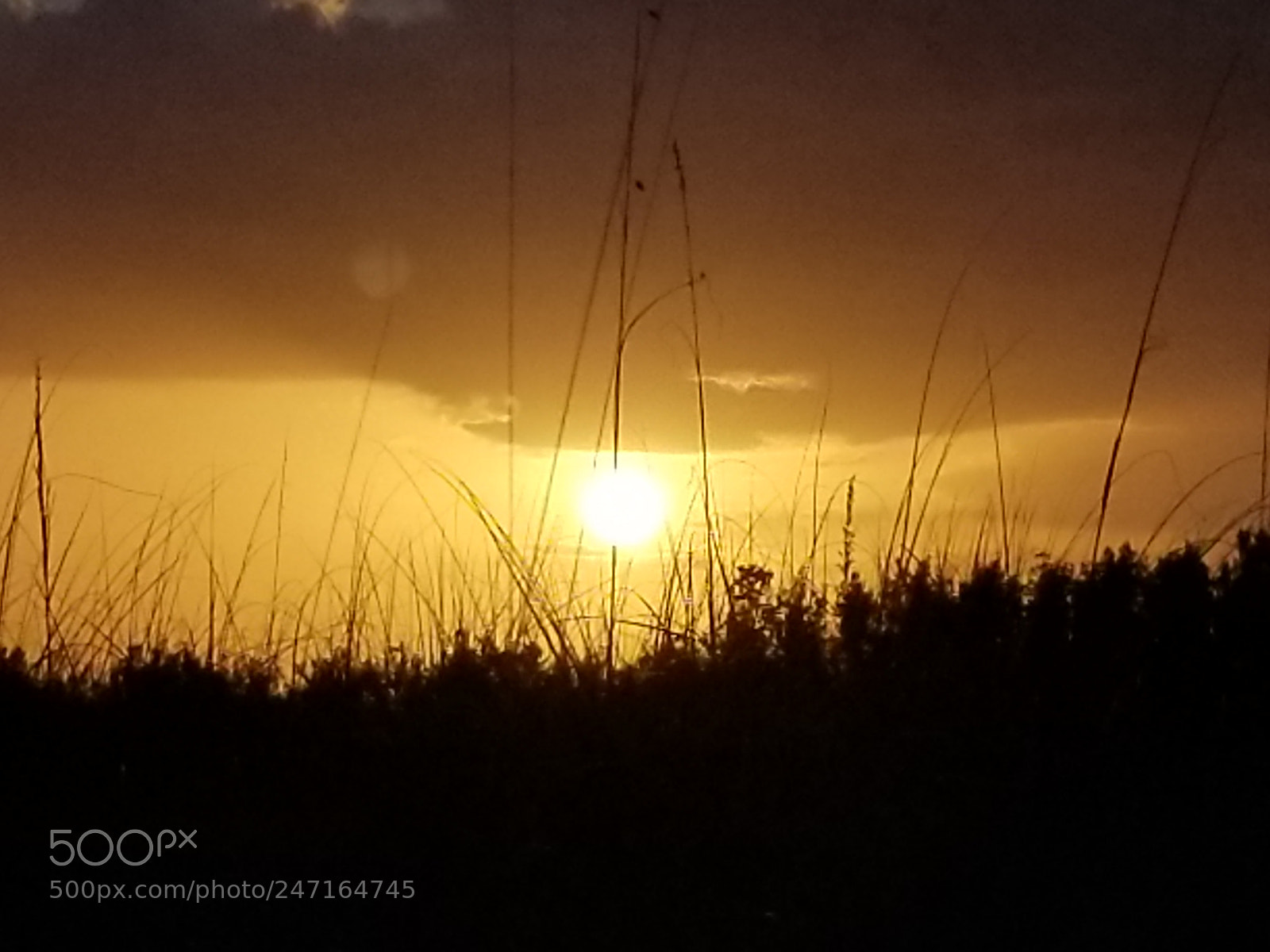 Samsung Galaxy S8+ sample photo. Untitled photography