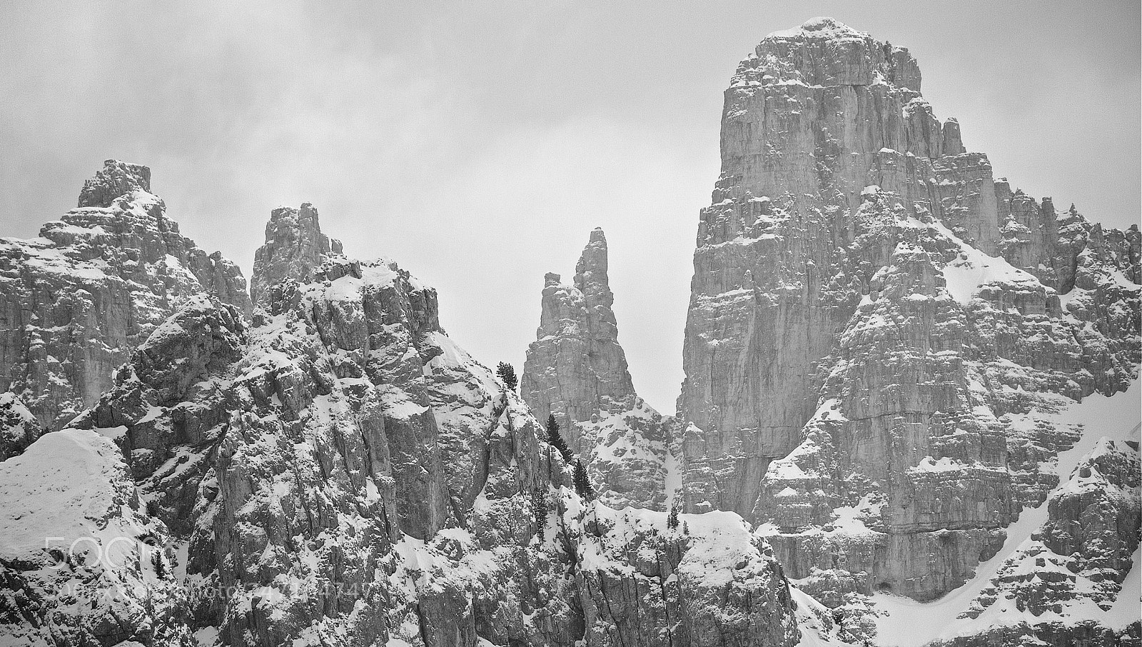 Canon EOS 7D sample photo. Winter in b/w photography