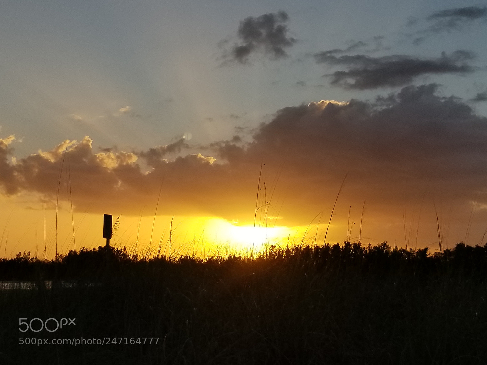 Samsung Galaxy S8+ sample photo. Untitled photography