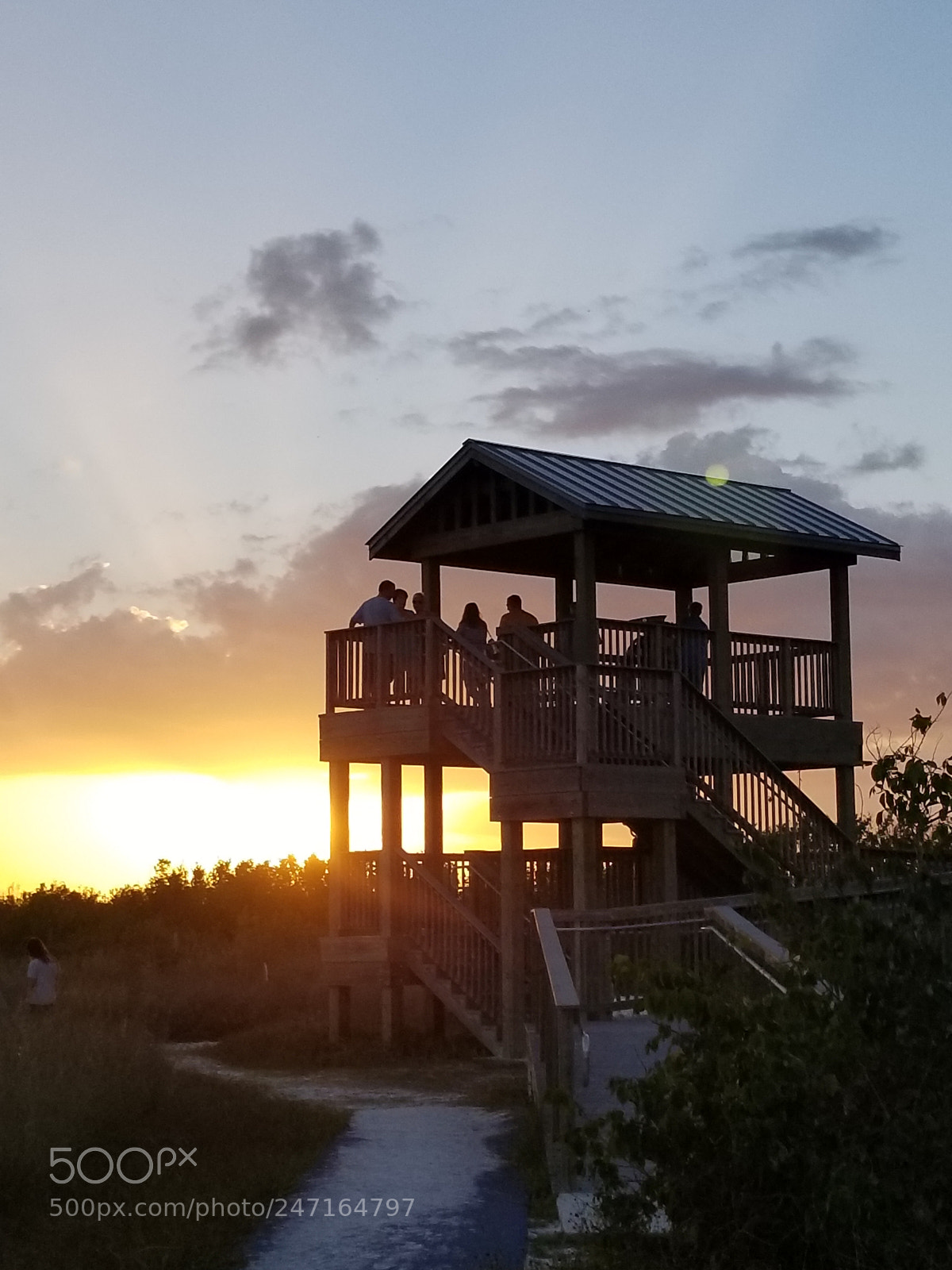Samsung Galaxy S8+ sample photo. Untitled photography