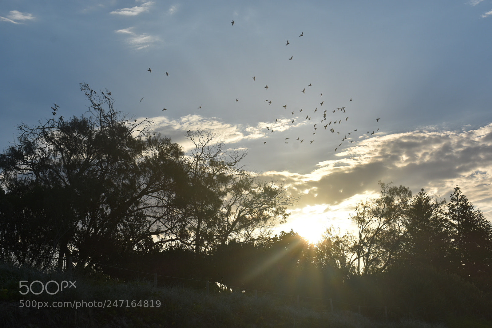 Nikon D3400 sample photo. [] photography