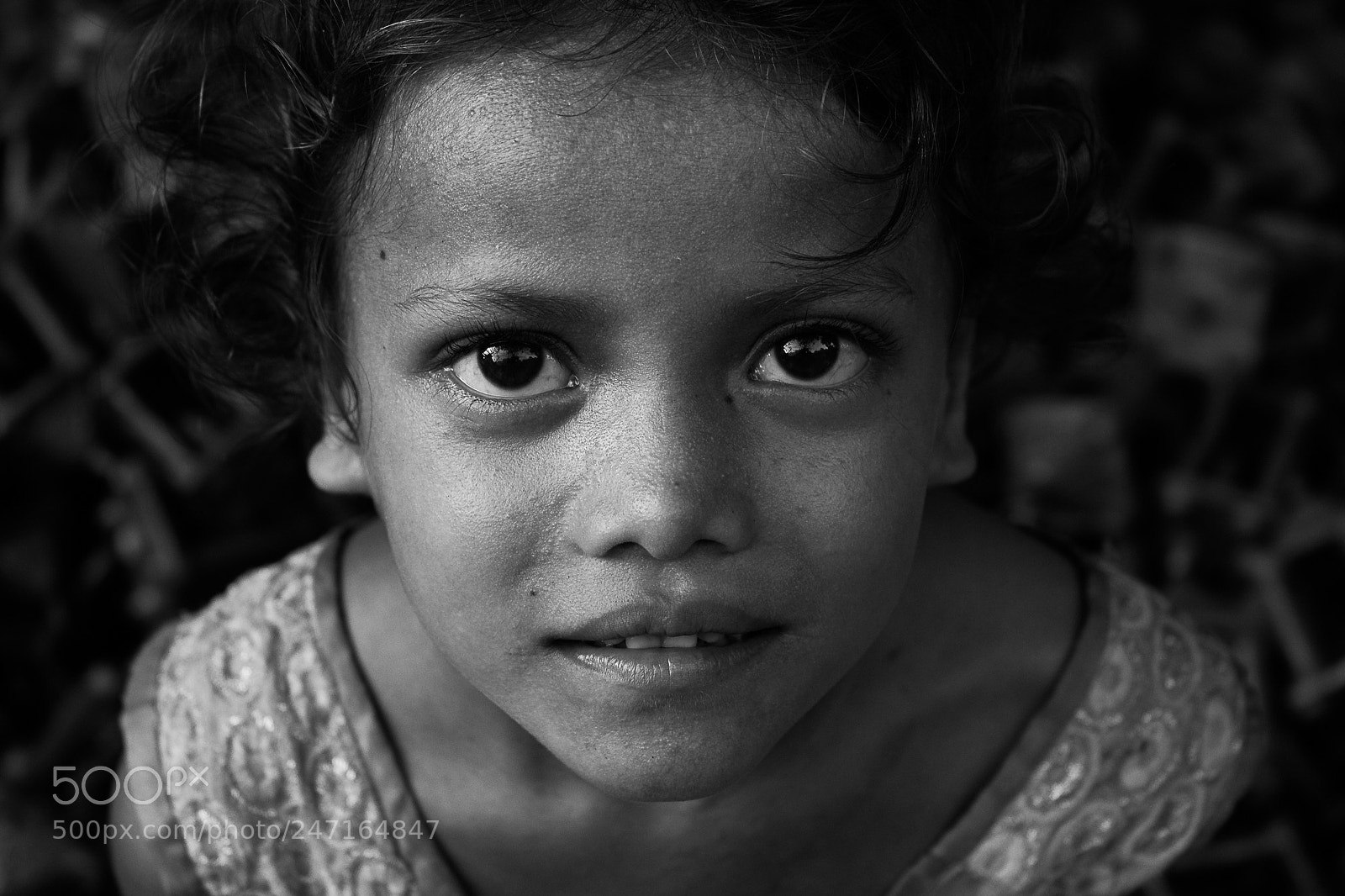 Canon EOS 550D (EOS Rebel T2i / EOS Kiss X4) sample photo. Those eyes photography
