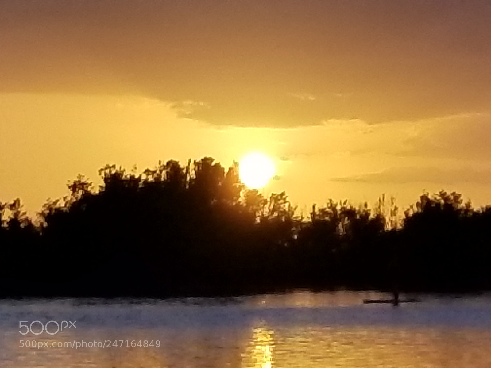 Samsung Galaxy S8+ sample photo. Untitled photography