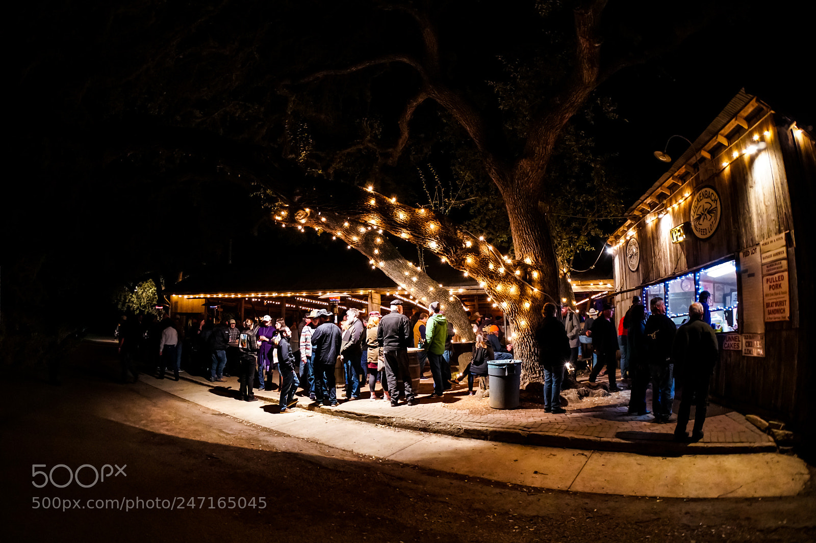 Sony a6500 sample photo. Blues festival photography