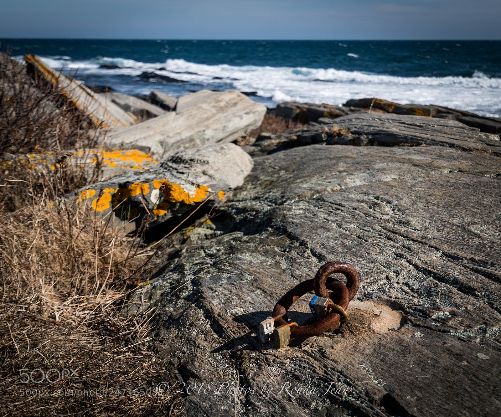 Nikon D500 sample photo. Twolights cape elizabeth, me photography