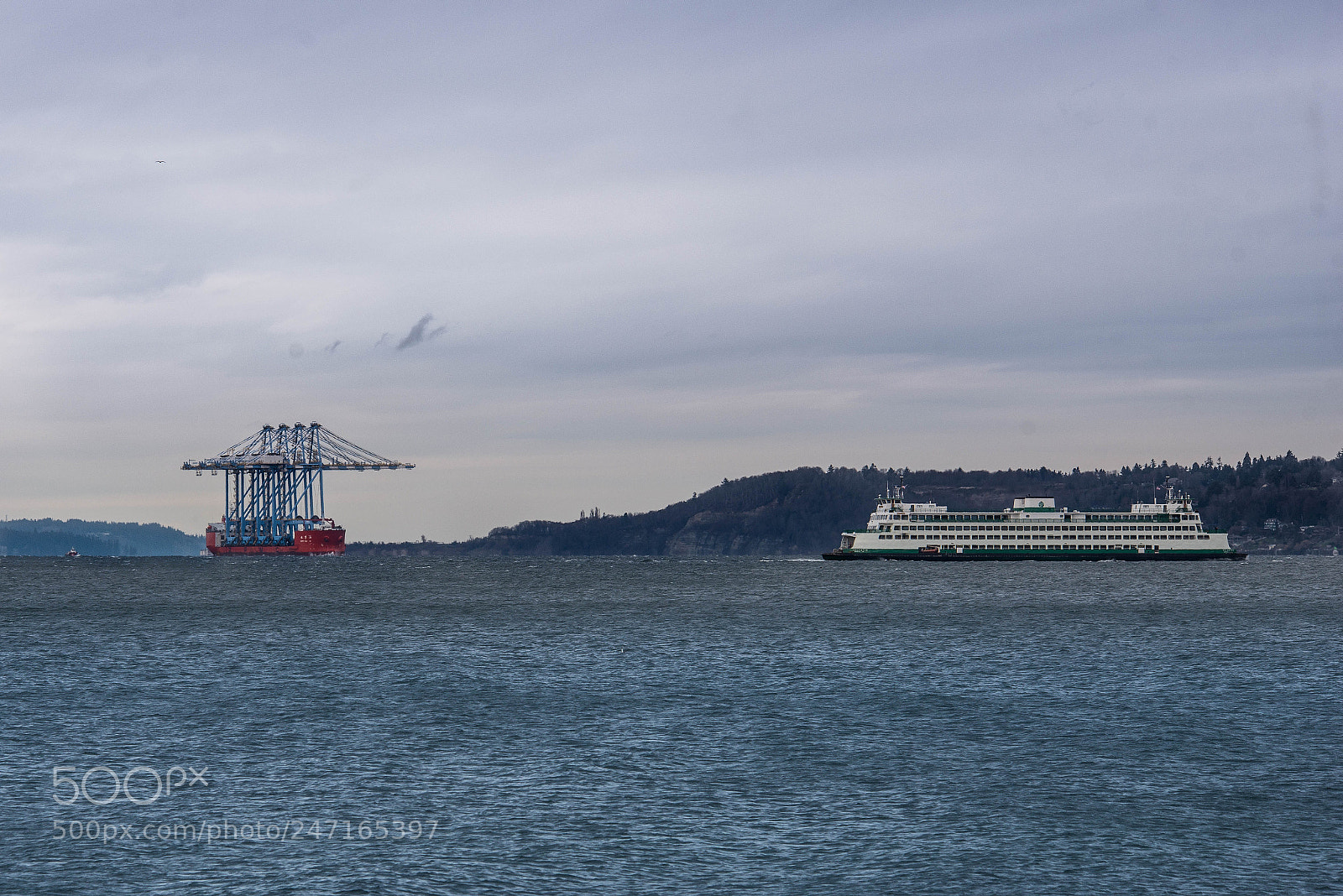 Nikon D800 sample photo. Alki (of ) photography