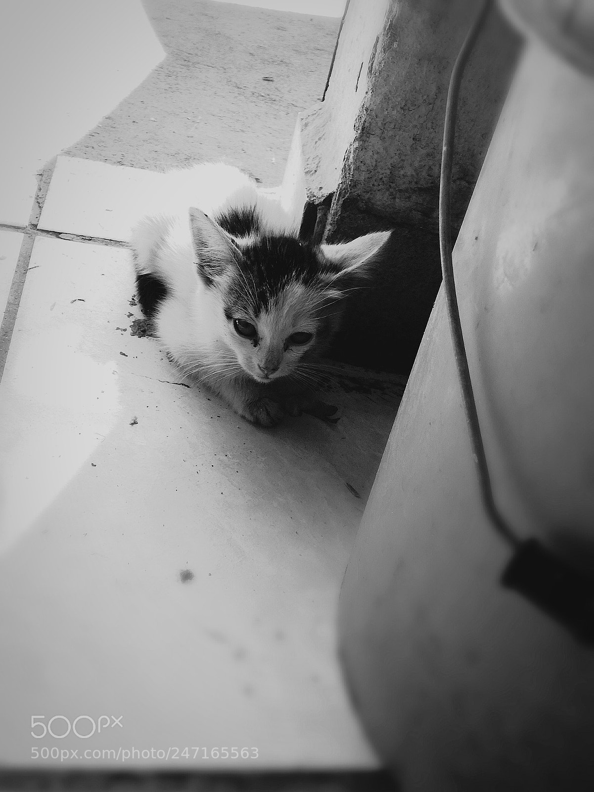 HUAWEI P9 LITE sample photo. Untitled photography