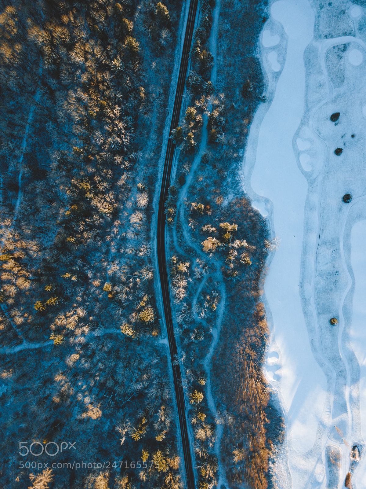 DJI FC220 sample photo. Unexpected gratitude photography