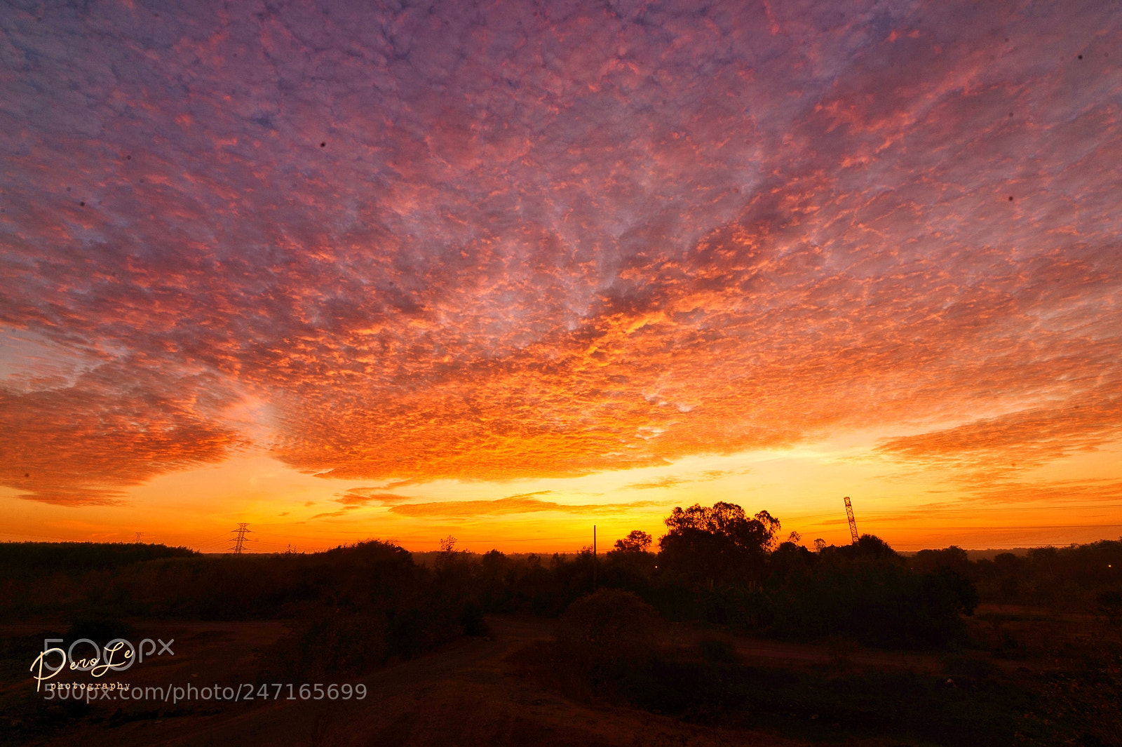 Nikon Df sample photo. Burn the sky photography