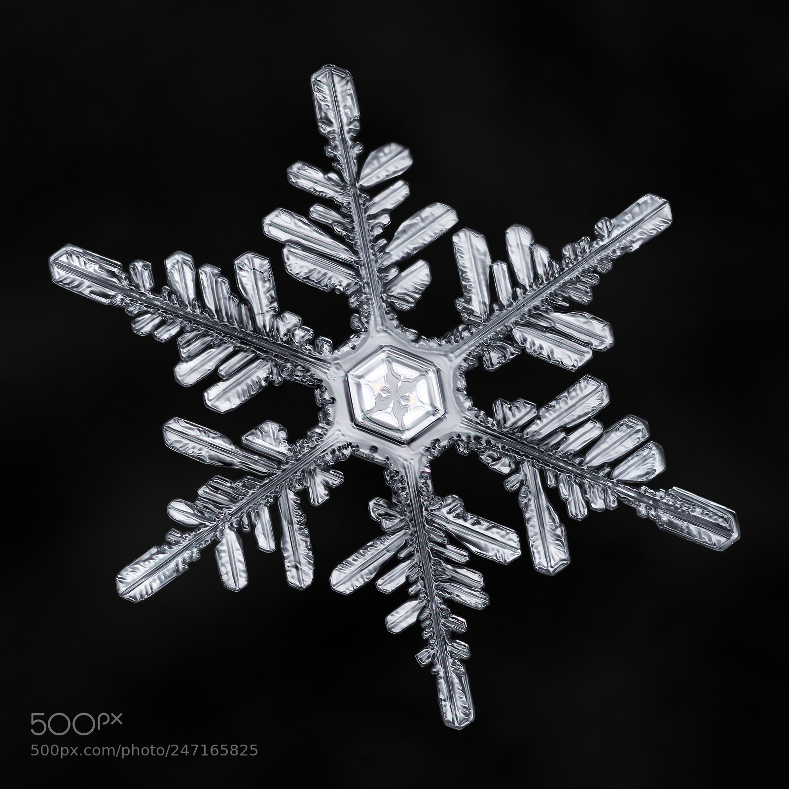 Canon EOS-1D X Mark II sample photo. Snowflake-a-day no. 55 photography
