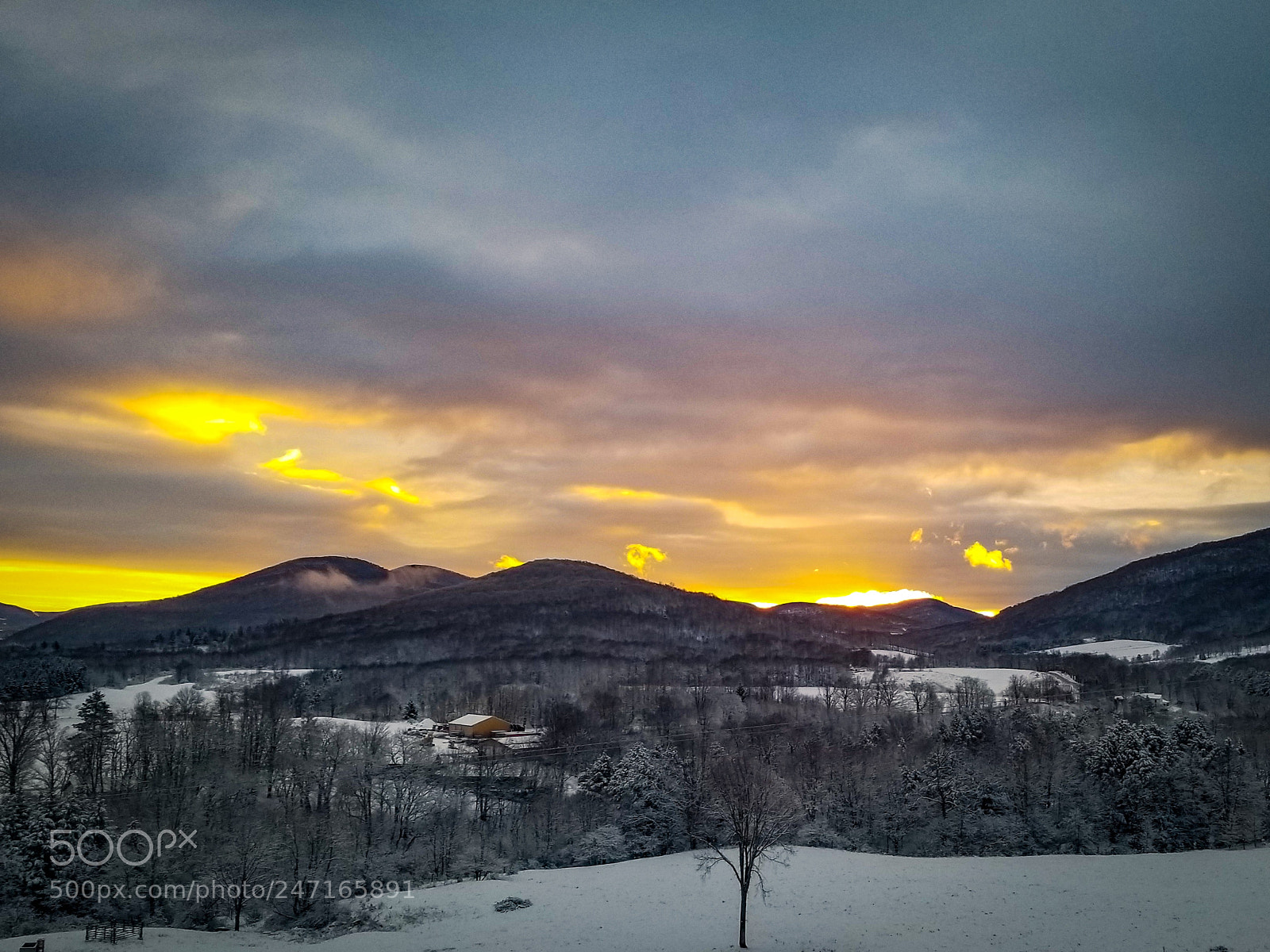 Samsung Galaxy S8+ sample photo. Untitled photography