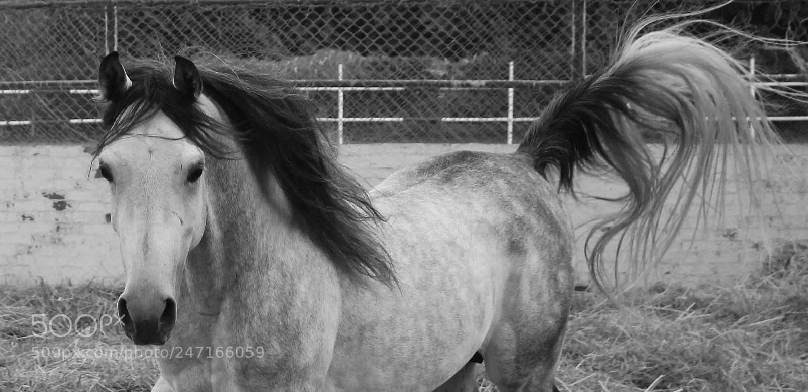 Canon EOS 700D (EOS Rebel T5i / EOS Kiss X7i) sample photo. Shakir photography