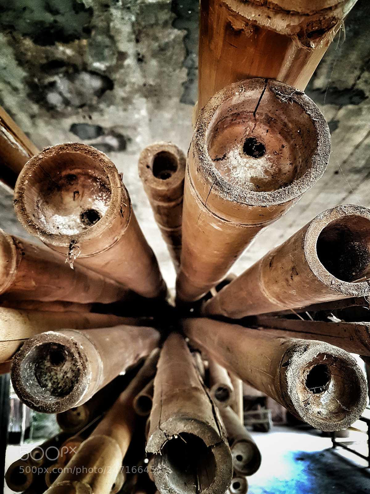 Samsung Galaxy S7 Edge sample photo. Bamboo photography