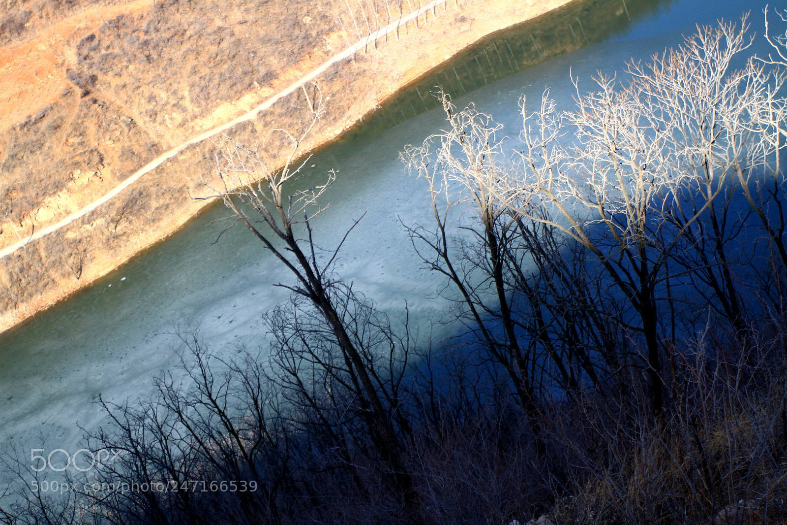 Canon EOS 7D sample photo. An orderly beauty photography