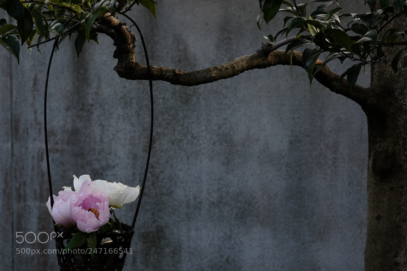 Fujifilm X-T1 sample photo. Untitled photography