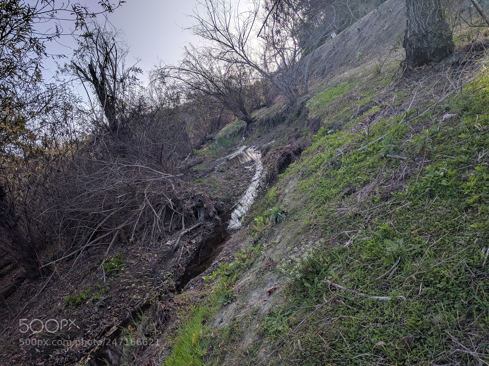 Google Nexus 6P sample photo. Untitled photography