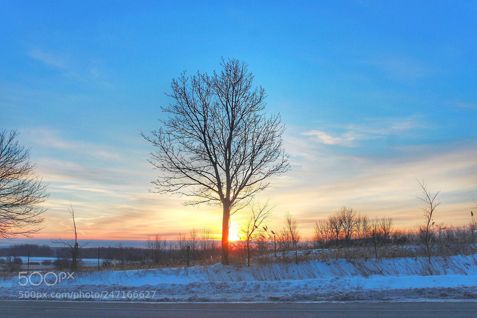 Canon EOS 7D sample photo. Early morning photography