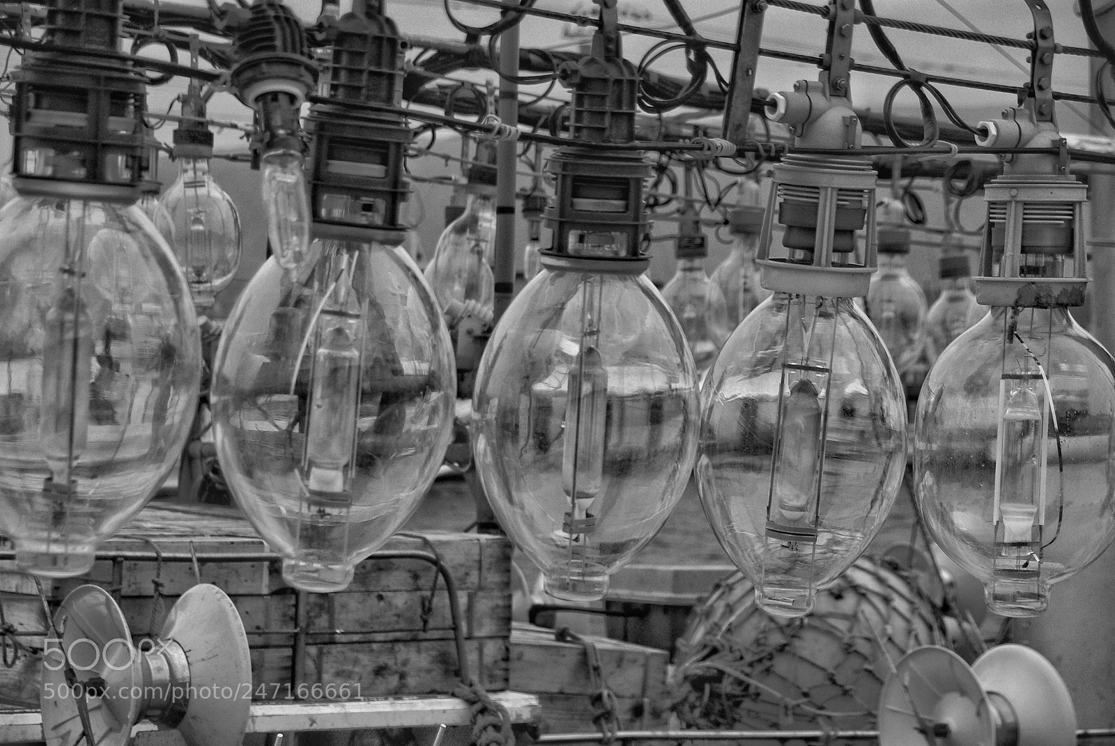 Pentax K10D sample photo. Untitled photography