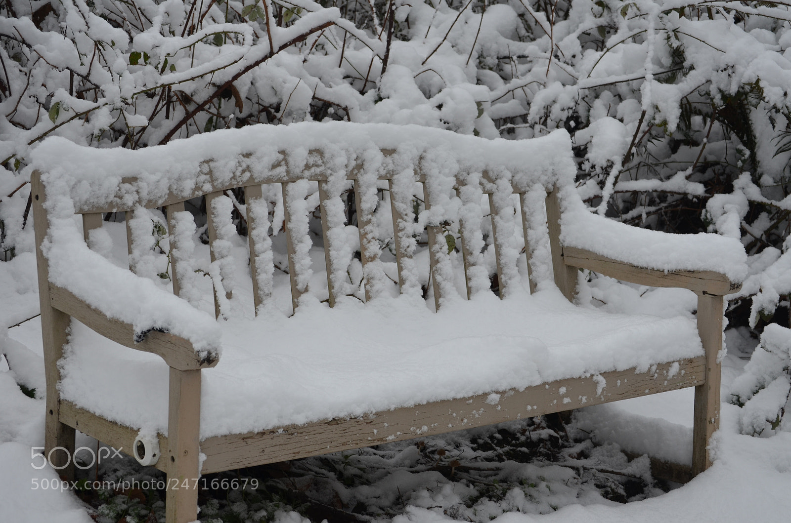 Nikon D5100 sample photo. Chair that had the photography
