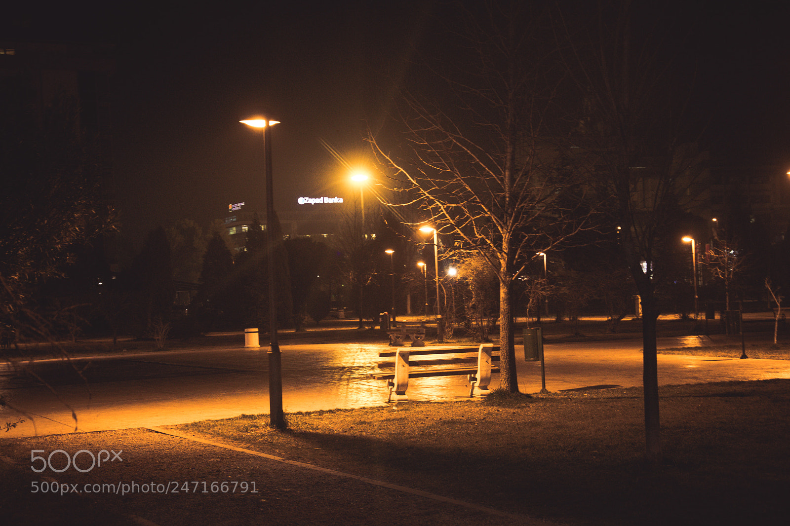 Nikon D7100 sample photo. Golden night photography