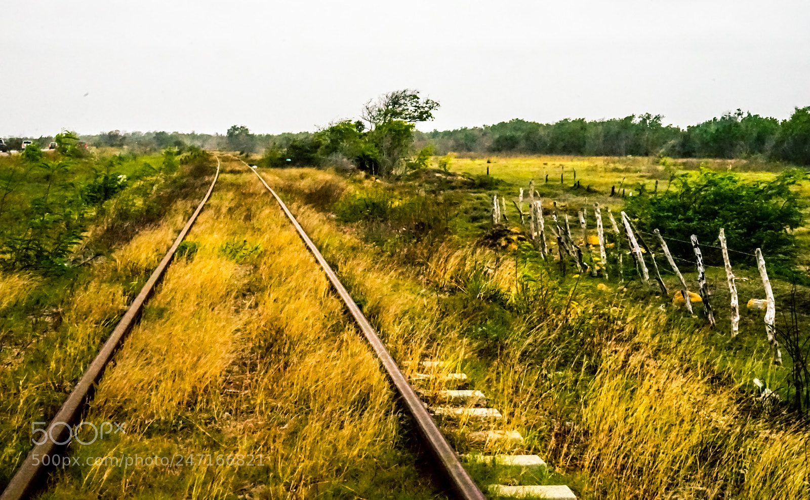 Sony a7 II sample photo. The long and winding photography
