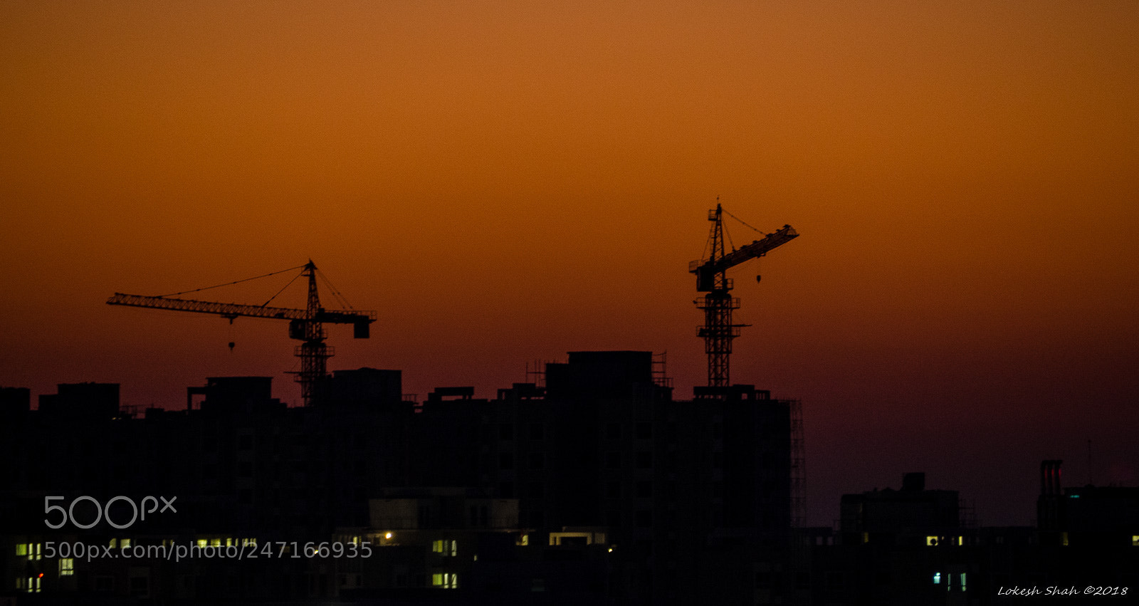 Olympus OM-D E-M10 II sample photo. Rising together photography