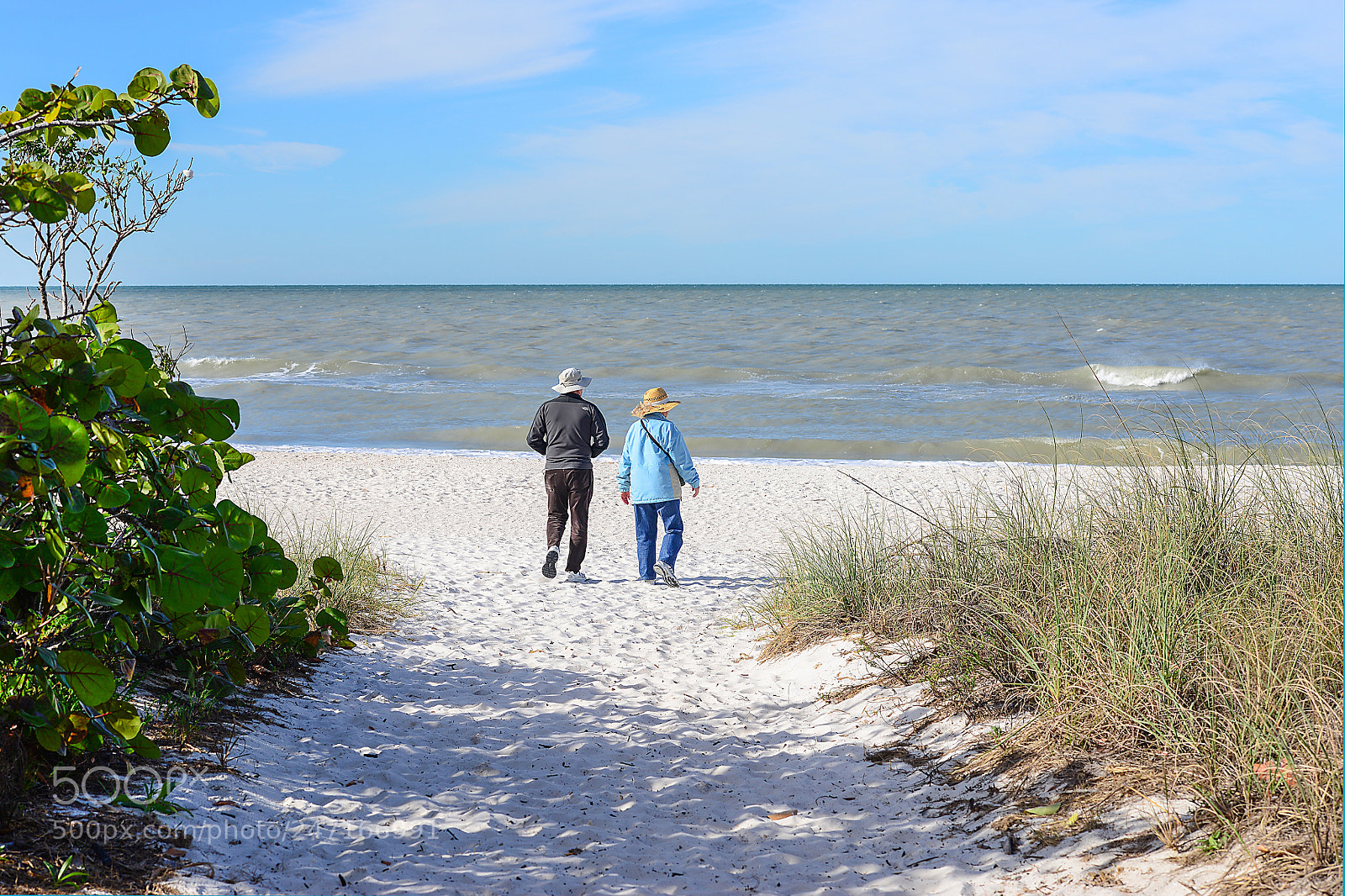 Nikon D800 sample photo. Retired photography