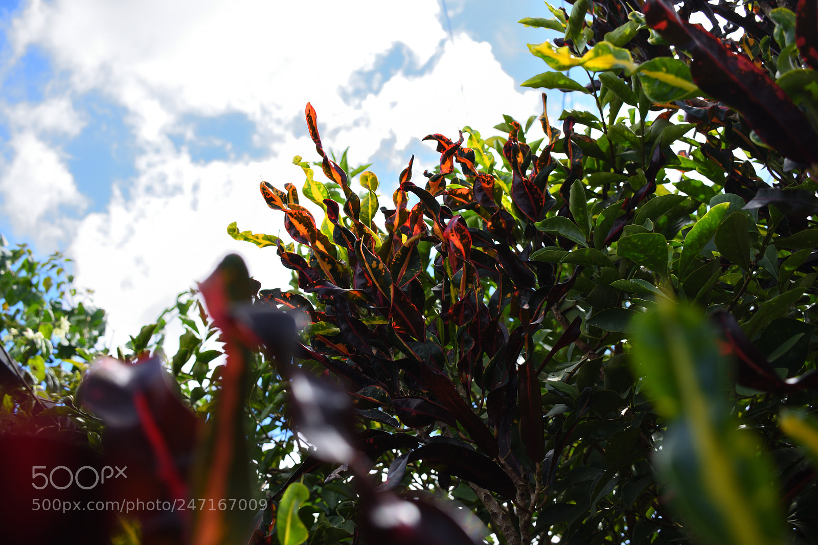Nikon D3400 sample photo. Growing up, always photography