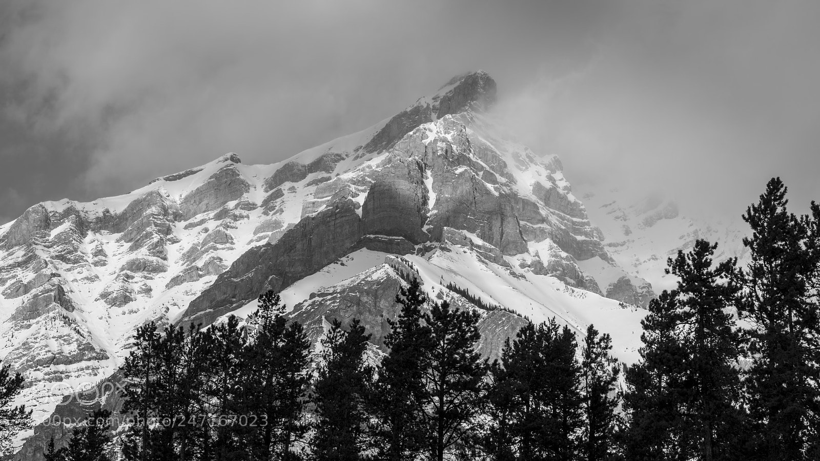 Nikon D810 sample photo. Banff walk photography