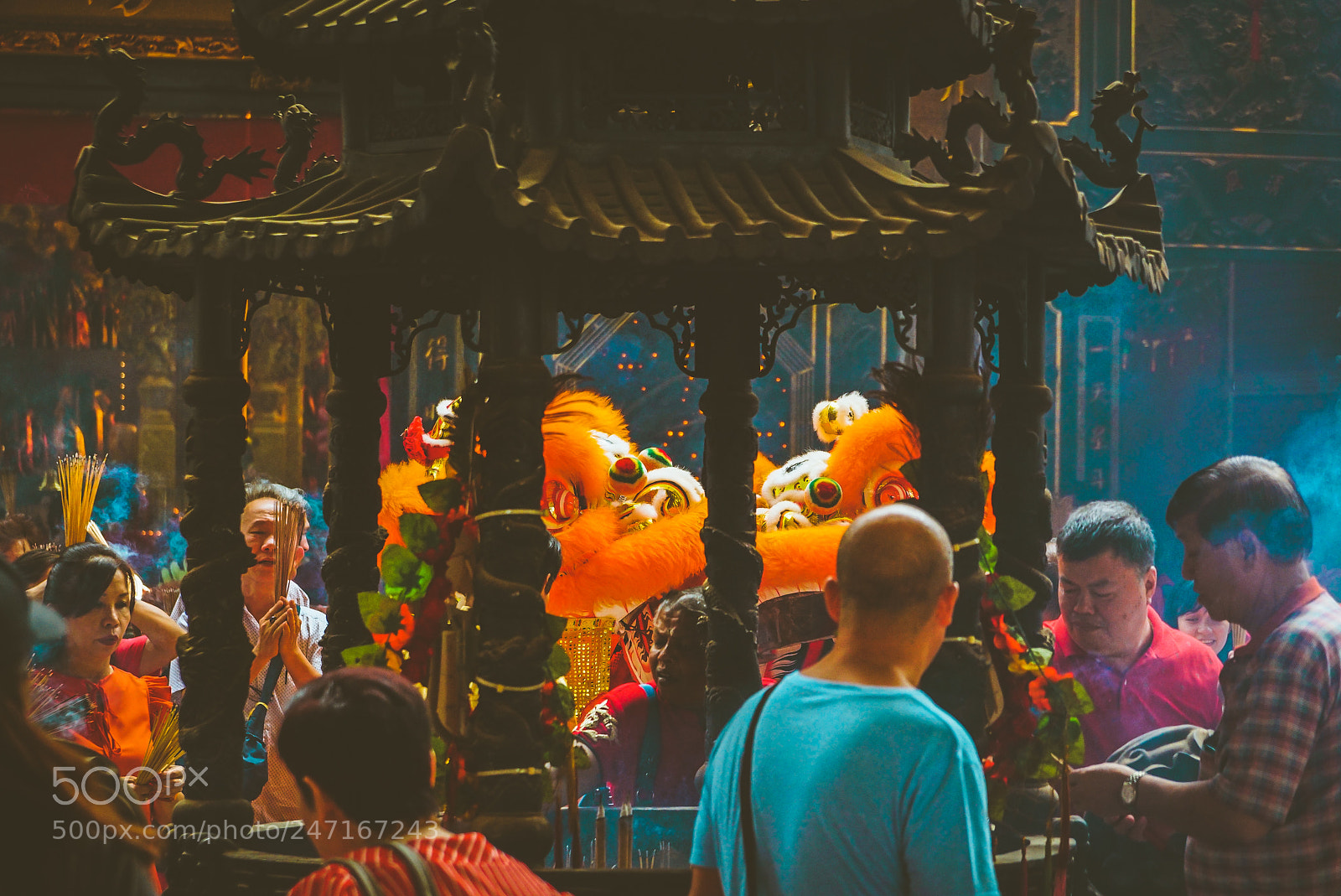 Sony a6300 sample photo. Lions among us photography