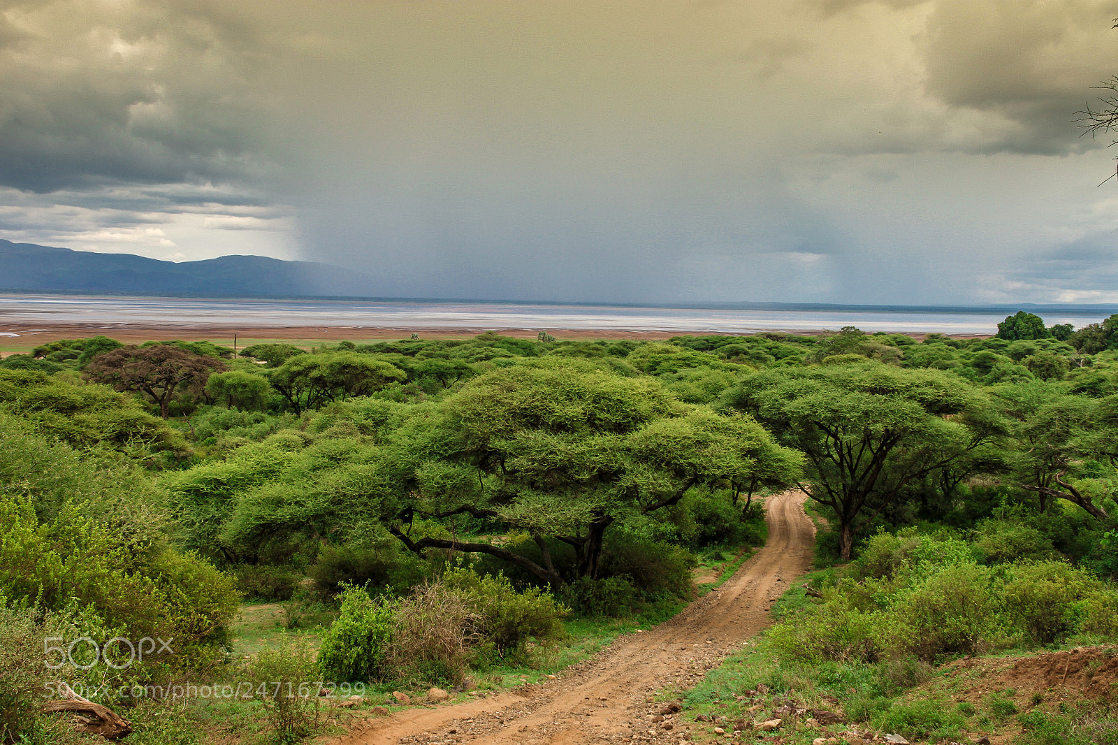 Canon EOS 500D (EOS Rebel T1i / EOS Kiss X3) sample photo. Tormenta sobre el lago photography