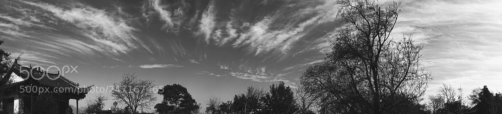 Sony a7 II sample photo. Untitled photography