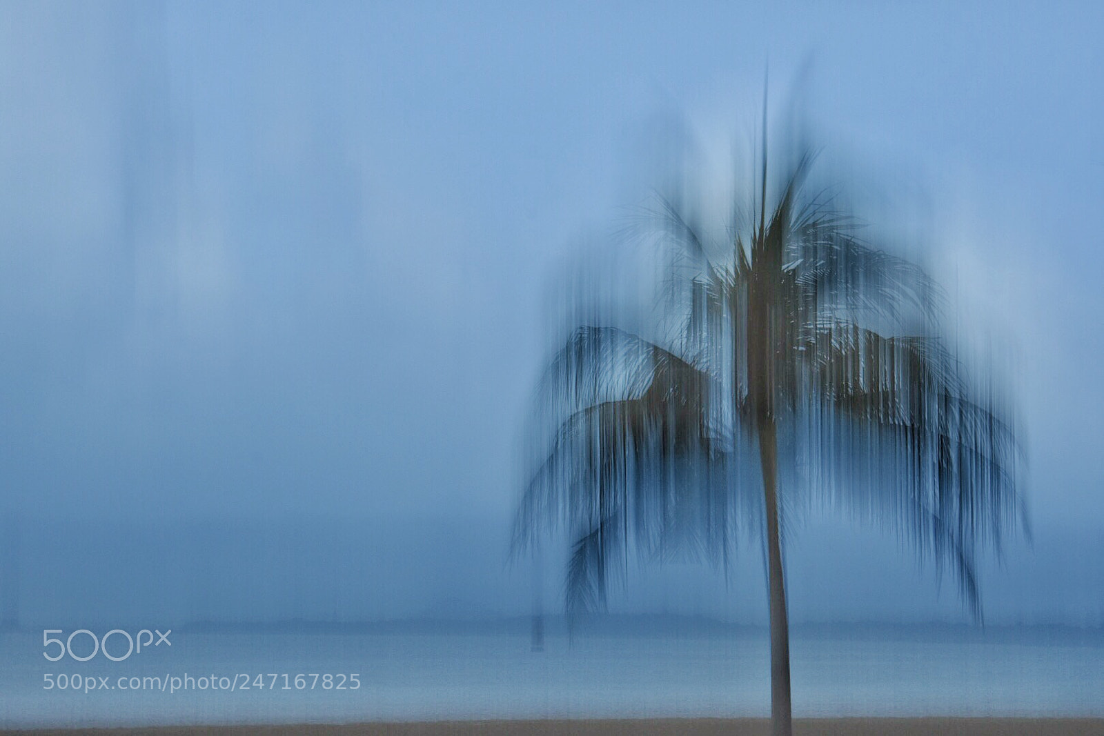 Nikon D7200 sample photo. Tropical impression photography
