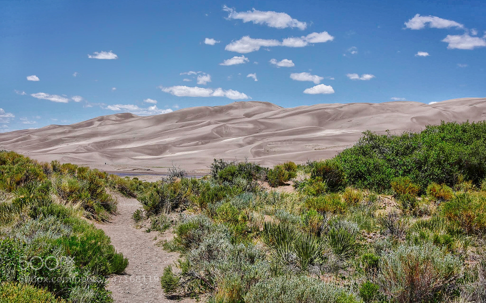 Nikon D810 sample photo. Great sand dunes national photography