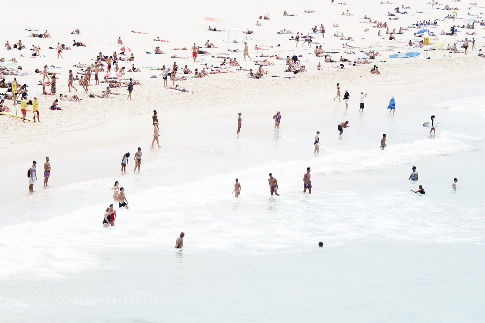 Olympus OM-D E-M1 Mark II sample photo. Coast photography