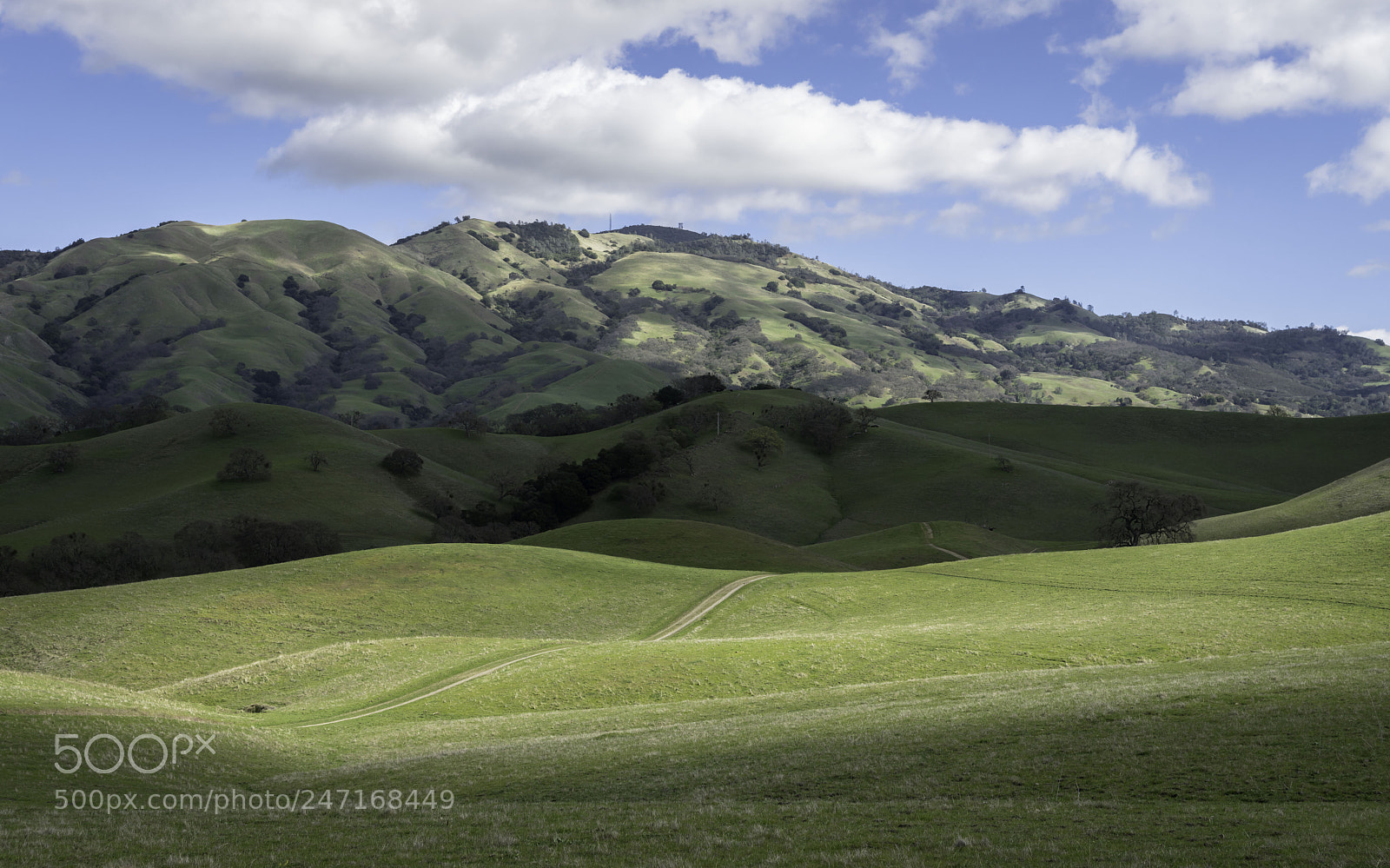 Sony a99 II sample photo. Diablo foothills, winter photography