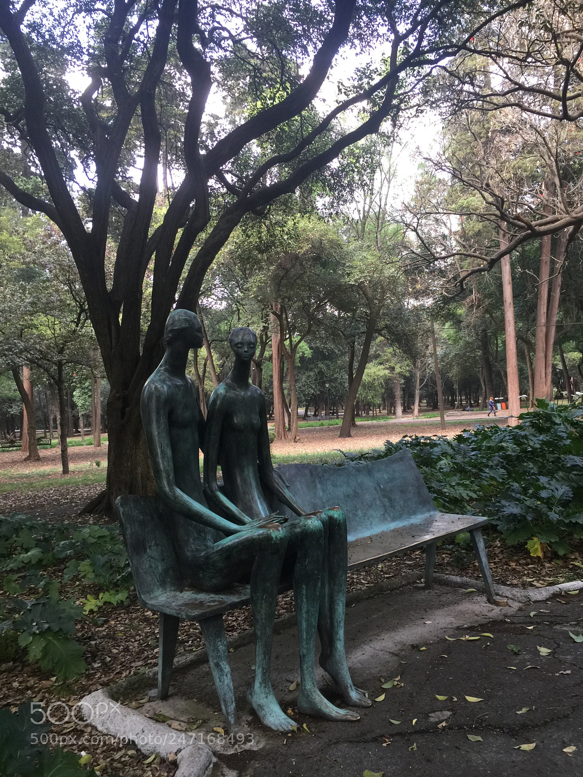 Apple iPhone 6 Plus sample photo. Paseando por chapultepec cdmx photography