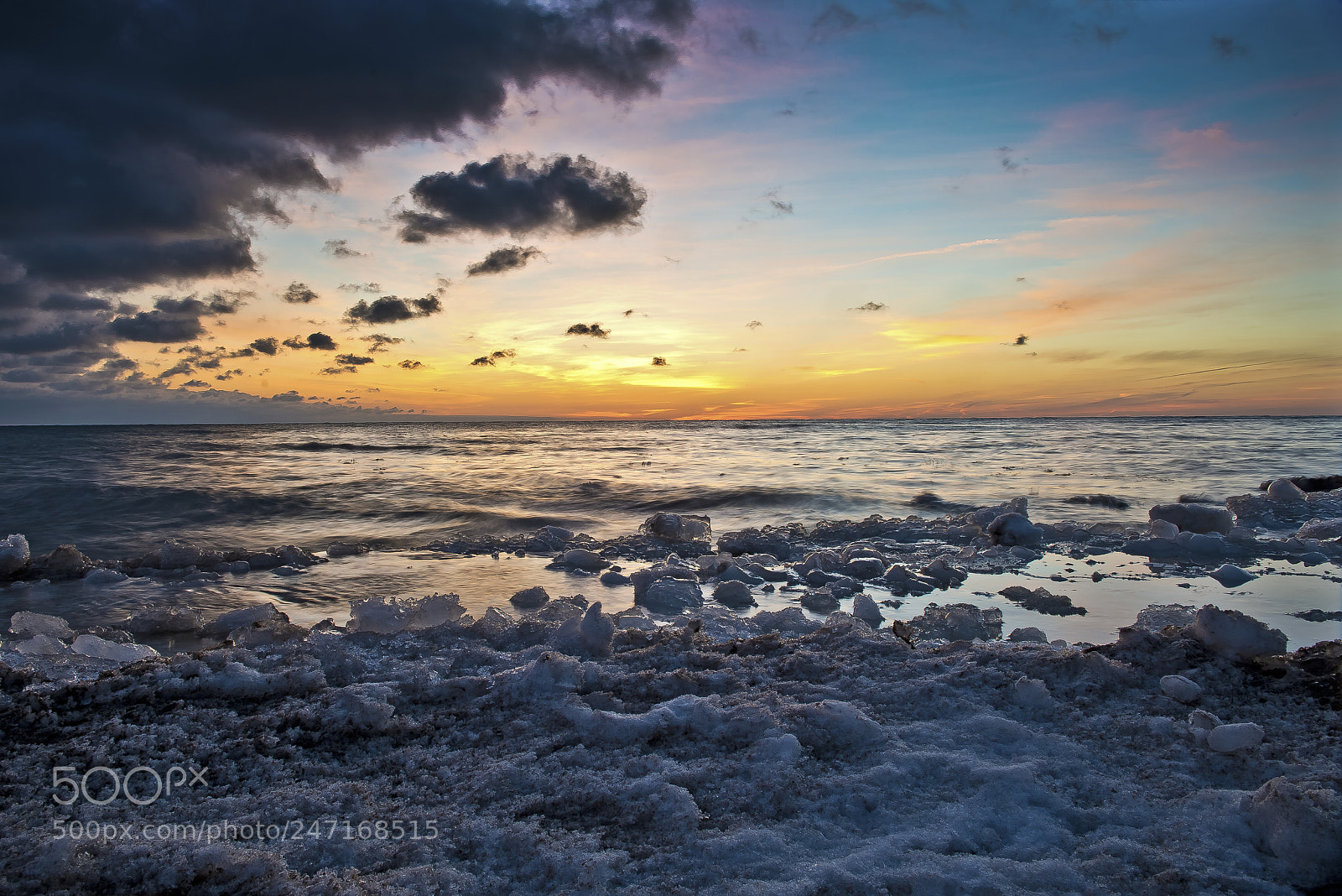 Nikon D800 sample photo. February morning photography
